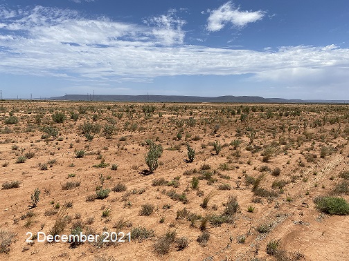 Ash dam revegetation 2 December 2021